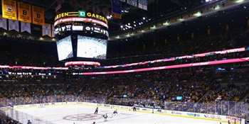 TD Garden Suite Tickets (18) for the January 25th 2025 Game Against the Colorado Avalanche - Proceeds to Benefit the Bourque Family Foundation